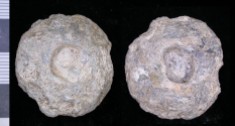 Finds spindle whorl LEIC-943843